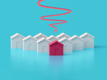 Flotta Vállalkozói + 